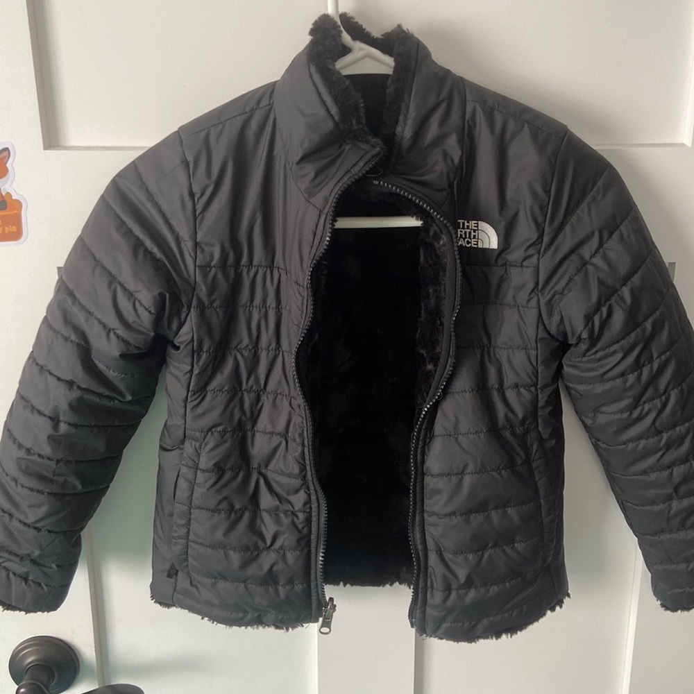 The north face jacket